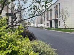 嘉兴政府园区厂房招商首付1成起