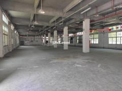 标准厂房，正规带证