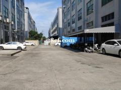 标准厂房，正规带证