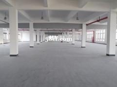 1楼加二楼2000平厂房出租