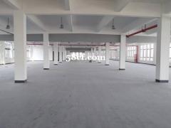 6万平标准新建厂房出租