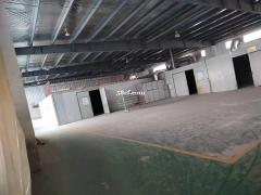 千灯可做家具油性漆 4000平厂房出租可分租