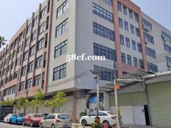 整栋空厂房出租