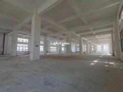 整栋空厂房出租