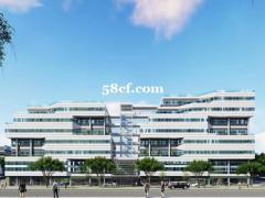 环宇科技芯城标准厂房出售