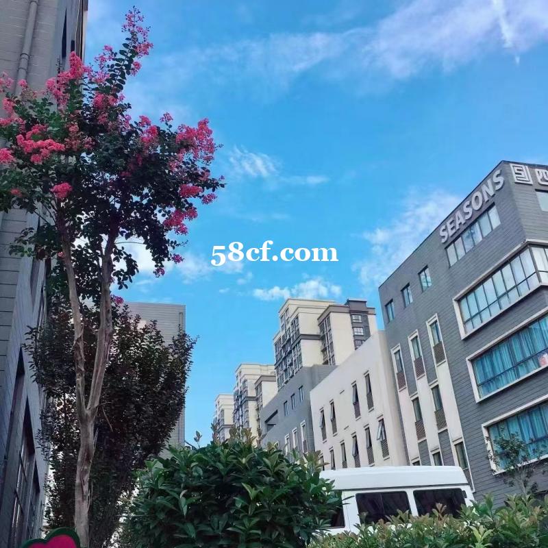 市中心的高端科技产业园 市中心的高端科技产业园