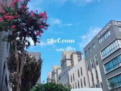 市中心的高端科技产业园 市中心的高端科技产业园