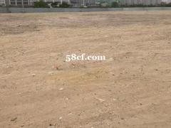 广州黄埔东大型场地招商