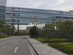 园区新建两层独栋厂房出售，有voc指标，环评代办。