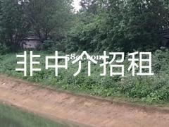 有小型养殖场出租