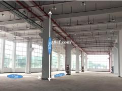 苏相合作区，5吨专梯多层厂房出租，政策优