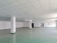 高新区精装一楼1600，丙类，地面环氧即租即用