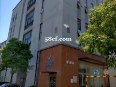 整栋3000平，带屋顶花园，精装入住