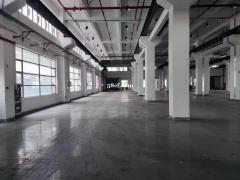 张浦独栋厂房1200平、价格实惠