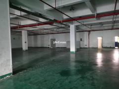 吴江屯村二楼1380平方可分割 带三吨电梯 高4米 配套有办