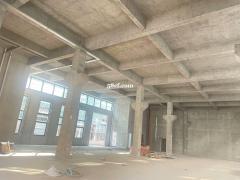 锦丰镇稻兴产业园独栋双拼厂房热卖中