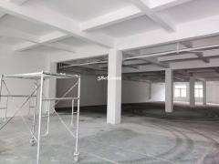 吴江庞金路9500平方厂房一楼高8米 可架航车 全新厂房