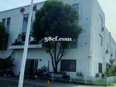 嵩山路185-23幢300平米厂房出租