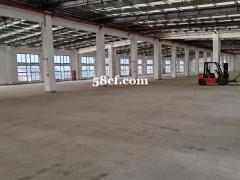 吴江芦墟单层5000平米，双层9000平米出租