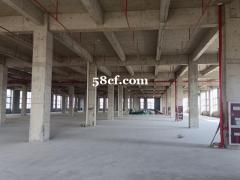 吴江开发区独门独院12000平米出租，