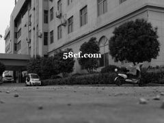 驻马店市汝南县45000平厂房出租  无中介费