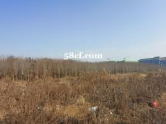 合肥新站区，M1工业用地，80亩最小分割15亩。