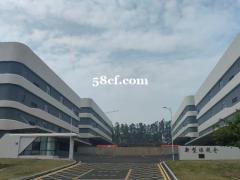 泉州紫帽风景区旁边保税区 标准仓库招租政策补贴