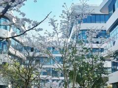 独享冠名  通燃气  地铁口  自住招待   即买即入驻