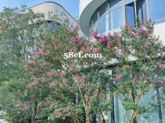 独享冠名  通燃气  地铁口  自住招待   即买即入驻
