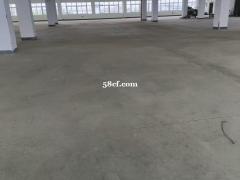 近水果市场3300平层高4.5米带货梯厂房出租，可分租