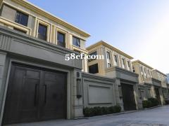 独栋别墅适合企业总部研发组装自住大花园