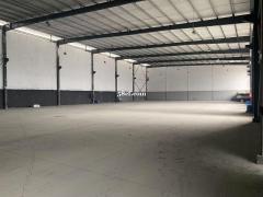 业主直租,天府新区厂房出租 独院带办公住宿食堂 业主直租,天府新区厂房出租 独院带办公住宿食堂