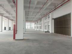 全新标准厂房招租