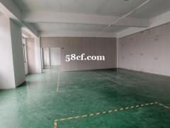 红本标准厂房招租带装修有货梯